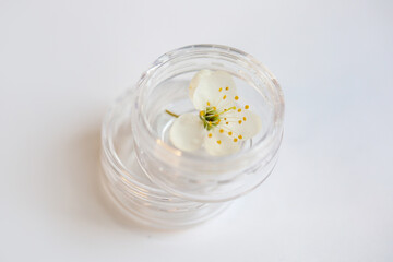 jar of cream on a white background
