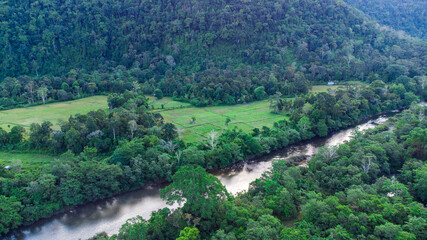 Aerial view of rice fields in the middle of tropical forest, Aceh, Indonesia.