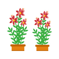 Red flower vase vector illustration