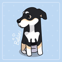 Scared cute dog
