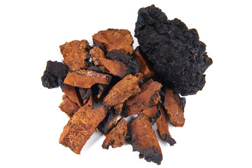 Chaga Mushroom - Natural Minerals isolated on white Background