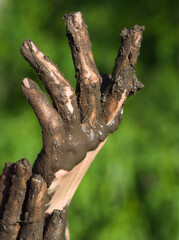 Muddy Hands of a Young Woman