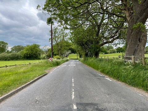 View along, Goose Lane, with fields, old trees, and a cloudy sky in, Hawksworth, Leeds, UK