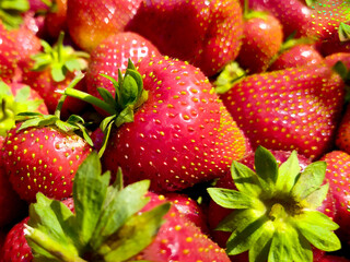 strawberries on the market