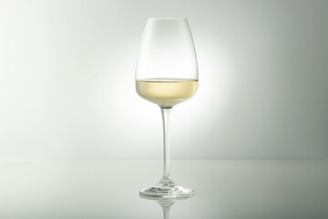 A glass of white wine on the table.