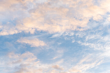 Abstract blue pink sky with clouds and flying four birds background wallpaper