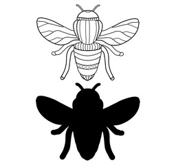Bee illustration. Line art. Vector illustration on white background. Two versions, black shape and black and white silhouette. Cut out