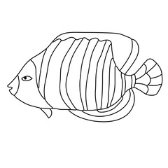 Fish isolated on white. Line drawing. Design element. Isolated on white