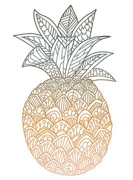 recommend clip art: Ornate pineapple illustration. Isolated on white. Summer colorful background. Hand drawn tropical fruit with gradient.