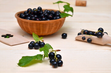 still life with black currants in a rustic style
