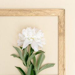 White peony minimal greeting card. Fresh fragrant peony flowers with green leaves and vintage wooden frame on beige