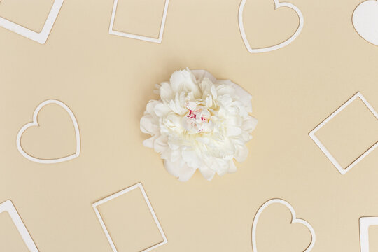 Desktop for romantic holiday or Valentines Day with white peony flower, empty paper for writing congratulations, hearts and photo on beige background. Love, romance concept.
