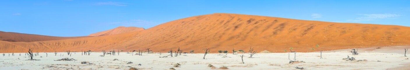 Fototapeta na wymiar Sossusvlei (Dead Vlei), Namibia.