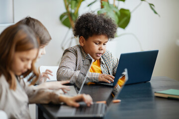 Diverse group of children using computers during IT class in school