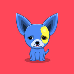 cute chihuahua dog showing sad expression