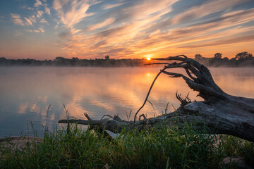 Foggy morning on the Vistula river near Gora Kalwaria, Masovia, Poland