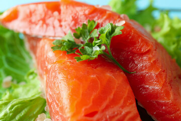 Fresh raw salmon and ingredients for cooking, close up