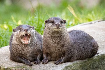 Entspannt.. | ..Relaxed