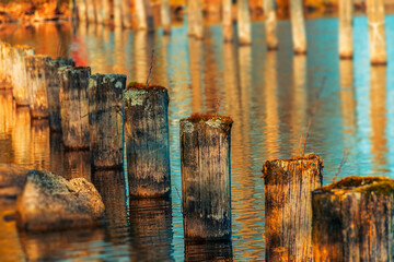 Weathered wooden bollards in the water for fastening boats