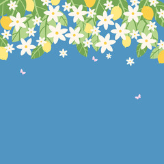 square banner.  lemons hanging on branches, an abundance of green foliage and blossoming flowers of various sizes, with fluttering pink butterflies.  vector illustration.