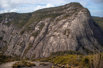 Mountain and trees in nature