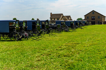 Parked Amish Buggies