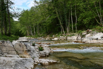 fiume natura
