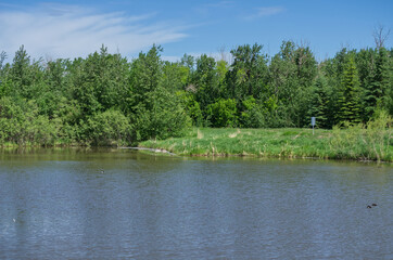 Fototapeta premium Pylypow Wetlands in Late Spring