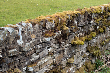 Dry stone wall