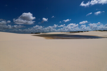Lagoon between the dunes of the Brazilian desert