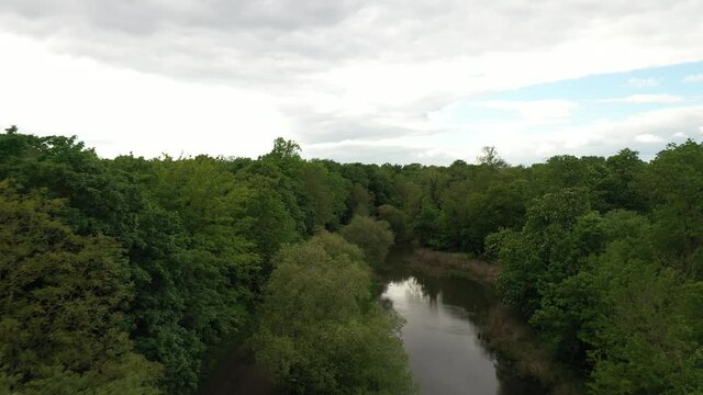 Treetops Texture With a stream In epping forest, London, Aerial Shot.