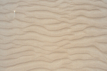 Obraz premium Drawing of the wind on the sand. Sand beach.