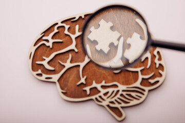 Model of brain and wooden puzzles with magnifier, search a solutions