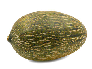 Whole single Piel de sapo melon isolated on white background
