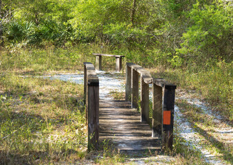 A Wooden Trail Bridge Without Water