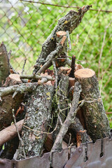 Burning wood, fire for grilling food. Risk of fire. Macro image
