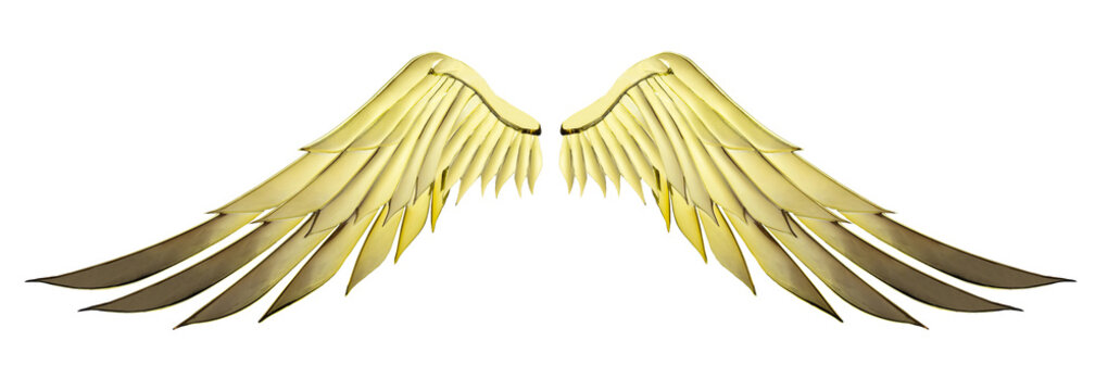 Golden god wing with gold color isolated and clipping path
