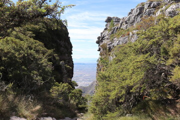 Table mountain