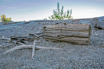 Tranquil Landscape of Pebble Beach with Driftwood Log and Sticks and Blue Sky