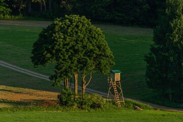 Wooden high seat for hunters in Krkonose mountains area