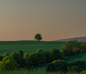 Landscape near Roprachtice village in spring summer evening