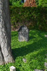 schöner alter Grabstein inmitten von grünen Pflanzen