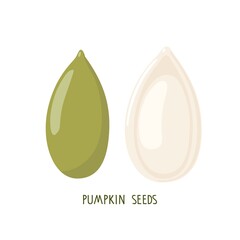 Pumpkin seed set. Isolated on white pumpkin seeds. Vegetable engraved. Organic, fresh cooking, healthy diet ingredient. For label template, farm market emblem, vegetarian and healthy life concept