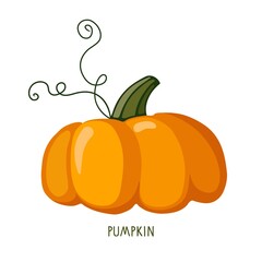 Pumpkin. Thanksgiving, Halloween holidays Pumpkin isolated on white. Healthy eating Vegetable Ingredients for cooking. Autumn flat design for menu, cafe, restaurant, farmers market, vegetarian recipe