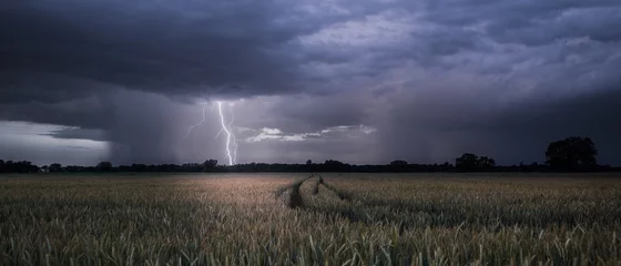 Tuinposter Lightning strike during a summer thunderstorm near Rastatt Plittersdorf © Markus Semmler