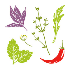 Basil, mint, thyme, arugula, chili. Colorful paper cut collection of culinary herbbs isolated on white background. Doodle hand drawn fruits. Vector illustration