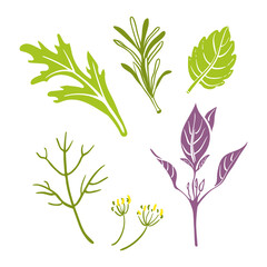 Rocket salad, dill, basil, mint, rosemary. Colorful paper cut collection of culinary herbbs isolated on white background. Doodle hand drawn fruits. Vector illustration