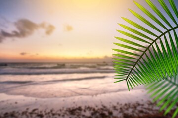 Coconut palm leaf against the beautiful beach. Vacation holidays background.