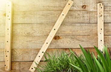 Old wood brown fence pattern and green plant