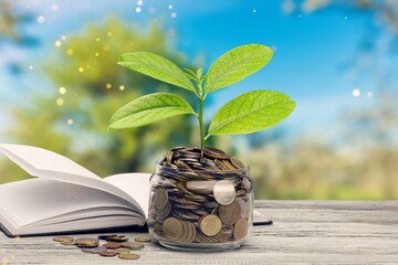 Saving concept, plant growing In the glass jar of Coins.